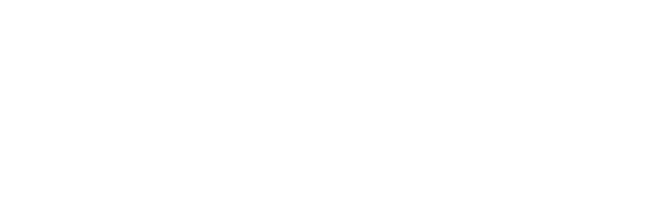 Nyctros Interactive